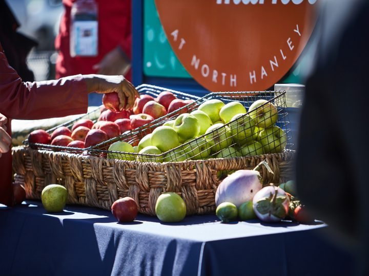 Nutritionists Will Highlight Healthy Food Options During  Link Market Food Demonstrations at Metro Transit Centers
