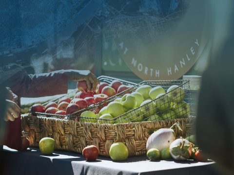 fruits and veggies in a basket