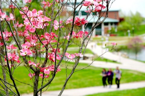 UMSL campus