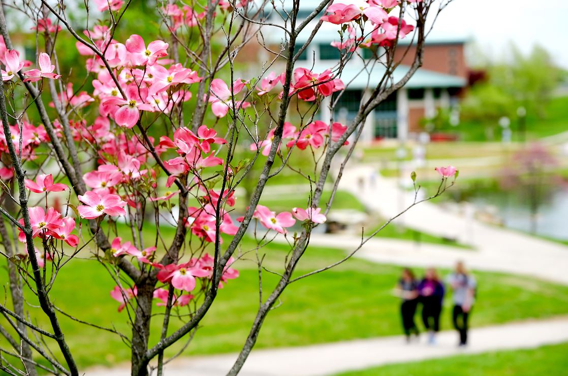 UMSL campus